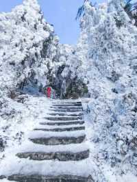 廣東出發3大賞雪寶藏城市！快記下！