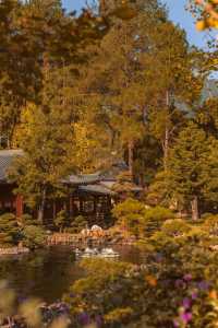 韶關雲門寺旅行攻略，禪宗名剎的靜心之旅