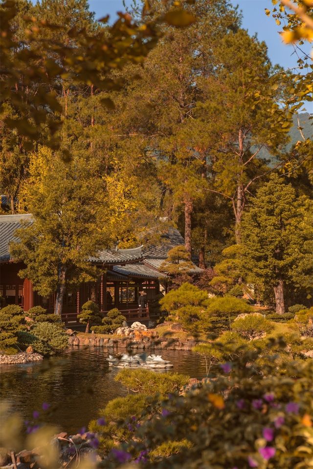 韶關雲門寺旅行攻略，禪宗名剎的靜心之旅