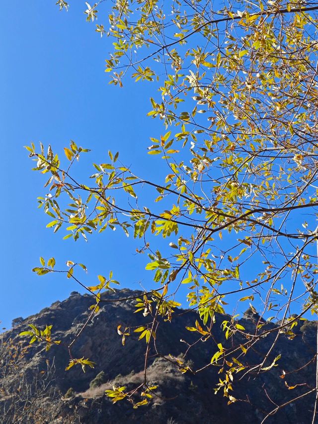 茂縣松坪溝，秋日美景未盡，初冬緊將至此