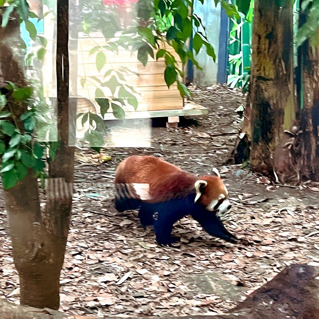 打卡／長春動植物公園