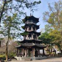冬日不一樣的西溪湿地公園