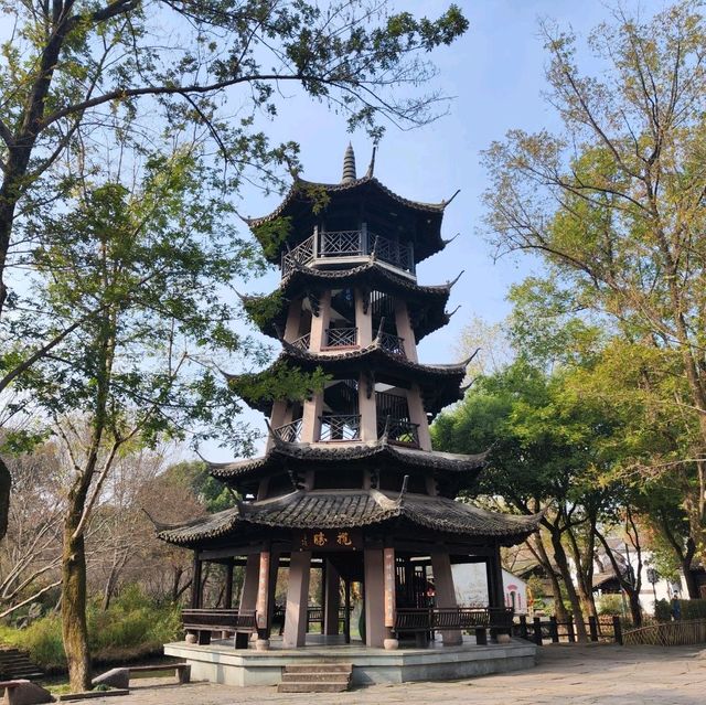 冬日不一樣的西溪湿地公園