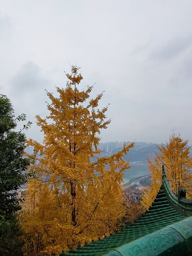 鴻恩閣‖秋天去了一趟鴻恩閣，後悔了……