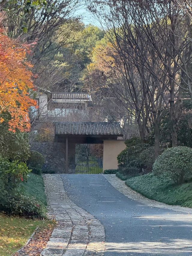 深藏湘湖畔的特色中餐廳，風景美食俱佳，一定要去試試