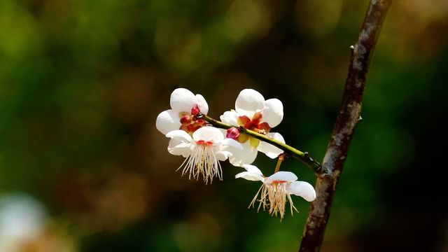 石門國家森林公園