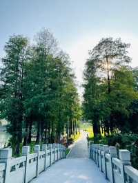 被這個公園治癒…周末遛娃 散步必逛四海公園