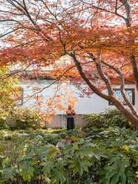 上海桂林公園