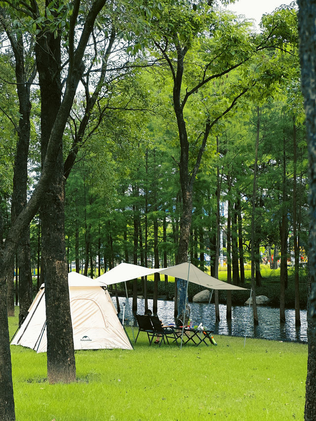 佛山4個露營地攻略 佛山4個露營地攻略