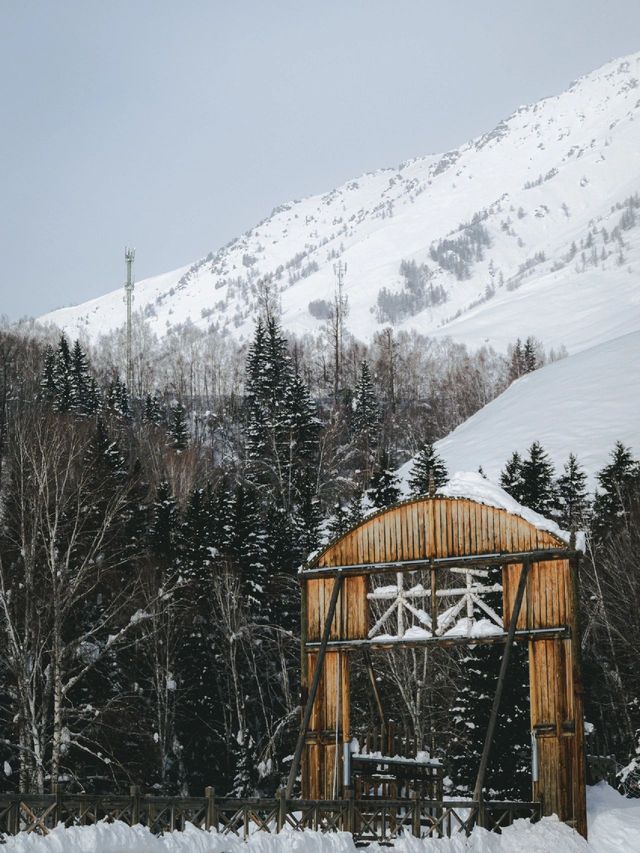 阿勒泰滑雪不再難性價比超高路線來襲