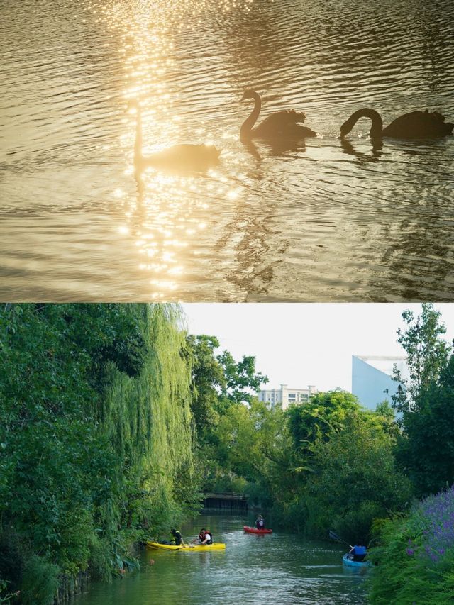 超豐富的度假體驗，沉浸式鄉野歡樂～