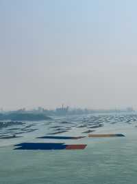 欽州龍門跨海大橋，壯觀無比！