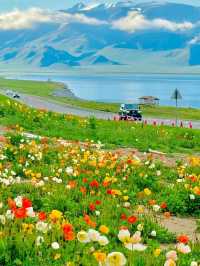 Xinjiang, the most beautiful place in my heart in China 🌹