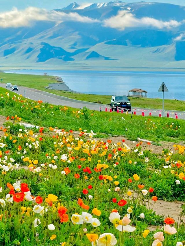 Xinjiang, the most beautiful place in my heart in China 🌹