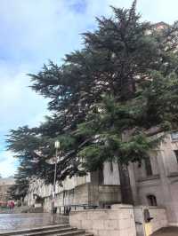 美國西部最古老的公立大學之一