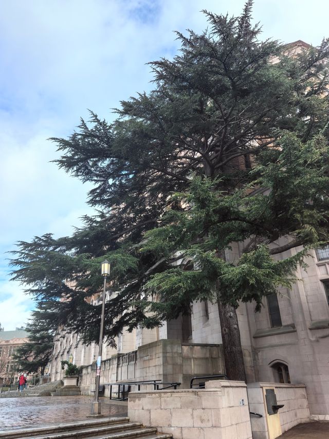 美國西部最古老的公立大學之一
