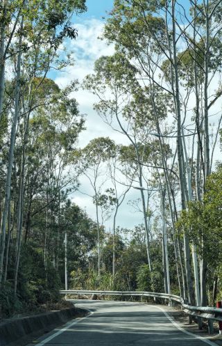 Anxi Mingde Building | A hidden gem for New Year hiking