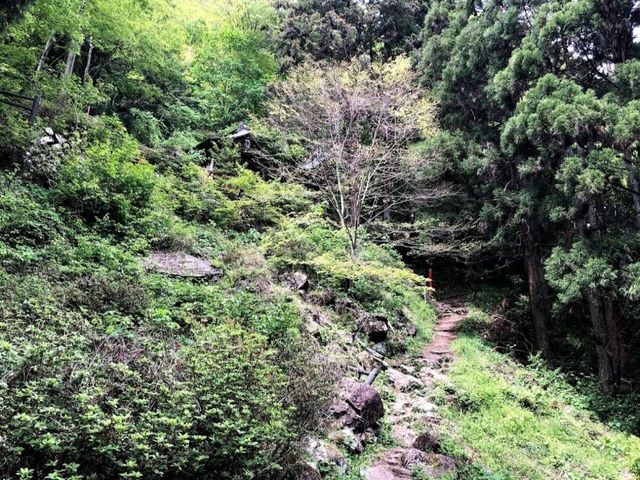 生出森八幡神社