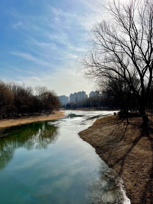 哥們兒 18度的氣溫你還憋家裏呀