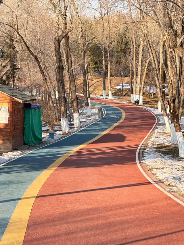 Winter Break in South Korea: Unmissable Sights