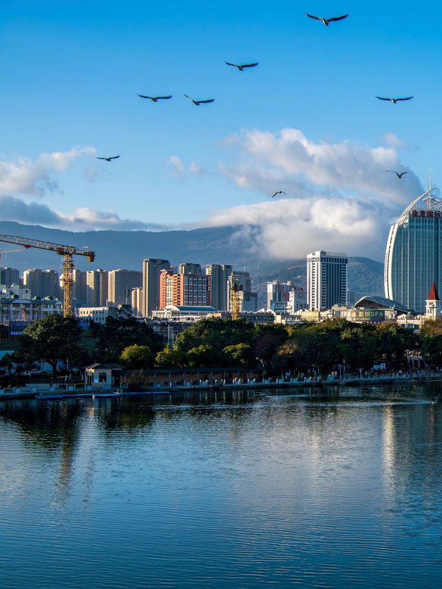 寒假新玩法去昆明-大理市-麗江擁抱森林