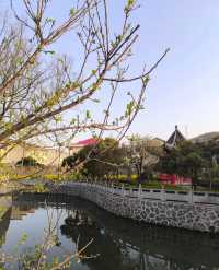 黃石大冶沼山村的春天