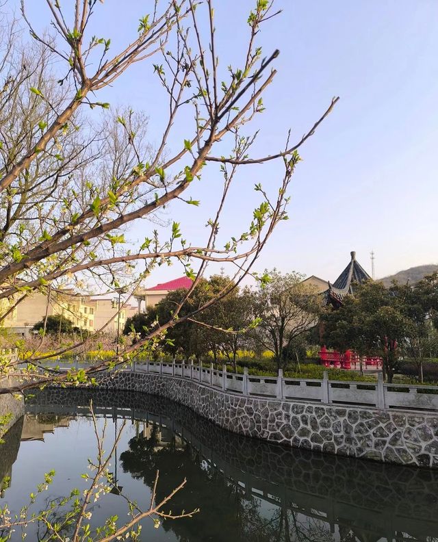黃石大冶沼山村的春天
