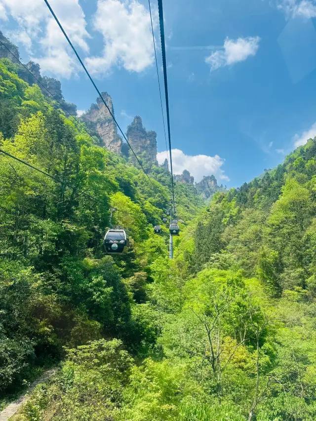 4日暢遊張家界-大峽谷-天門山 超詳細攻略來襲