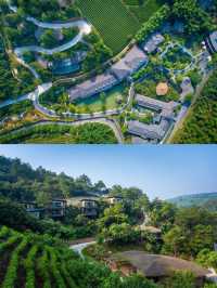 誤入安吉桃源深處這家湯泉酒店藏不住了
