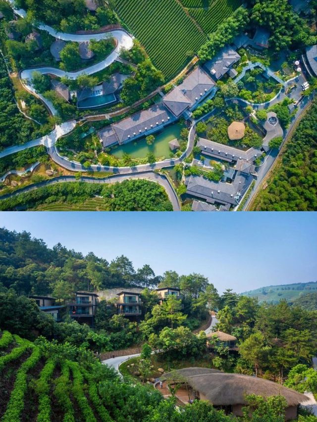 誤入安吉桃源深處這家湯泉酒店藏不住了