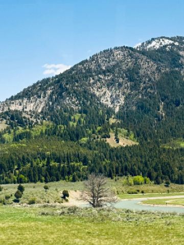 美國4日遊 長者都啱玩