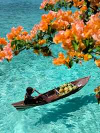 🏝️Semporna 5D4N丨Island Hopping is So Much Fun