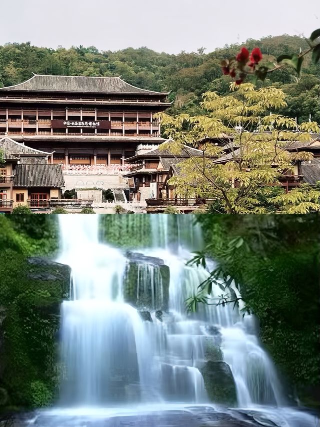 屏邊已回，說點難聽大實話。