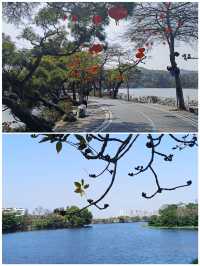 惠州2025年3月嘅實況，未嚟過嘅朋友仔要注意啦，因為一首歌愛上一座城