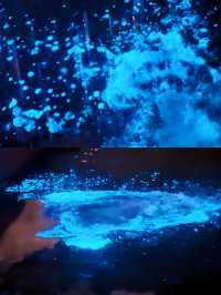 天津海邊藍眼淚,睇呢篇攻略就夠晒🫶🩷