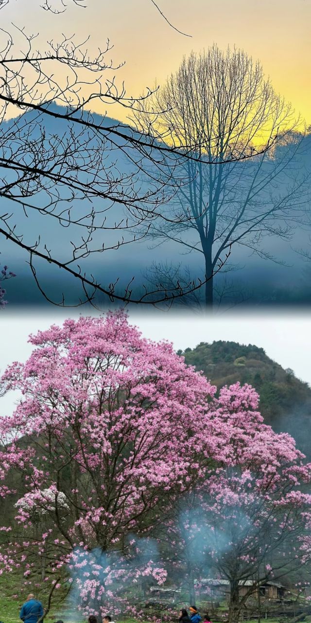 綿陽江油的藏王寨