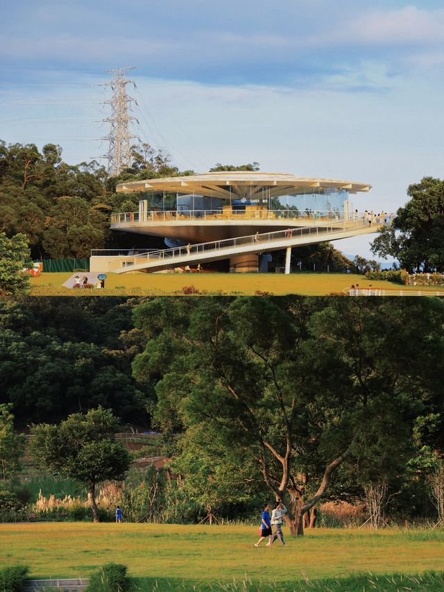 恩上水庫徒步攻略 | 遇絕美海景&綠意濕地🌿