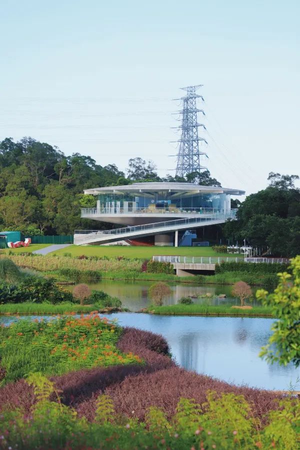 深圳有自己的阿勒泰！——恩上濕地公園