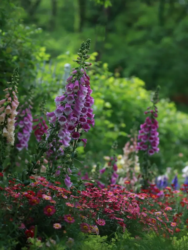 A 7-Day US Trip for the Short Holiday: Non-Stop Fun and Excitement!