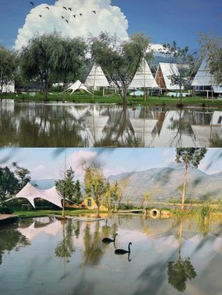 Stumble into a Fairytale! Luye Swan Lake Holds Kunming's Poetry and Distance