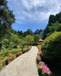 江西廬山三月免費僅剩17天！