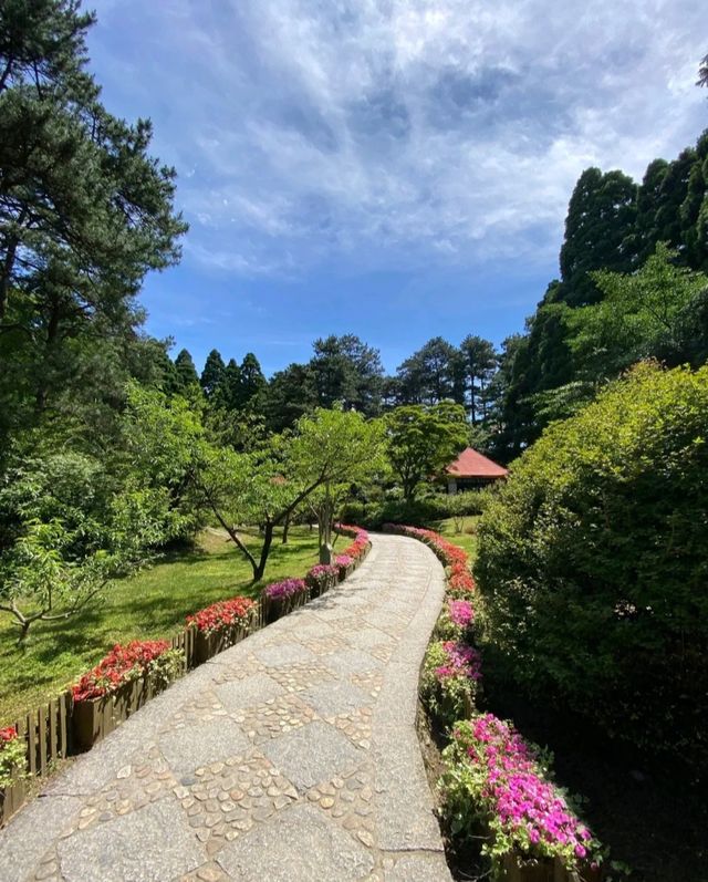 江西廬山三月免費僅剩17天！