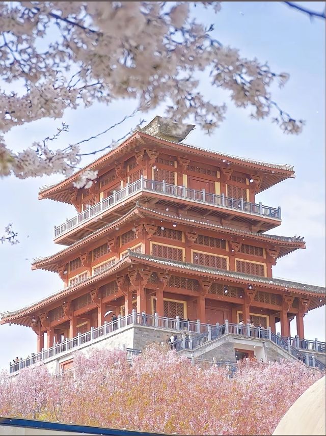 收藏郑州三月賞花勝地Top3
