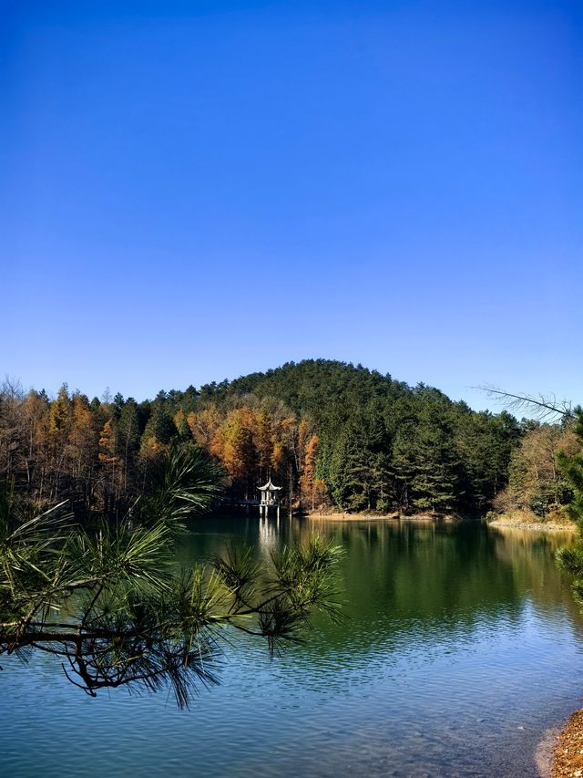 星空、湖泊、森林，感受身體屬於大自然