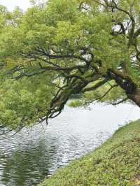 【潮州人的後花園｜西湖半日漫遊指南】