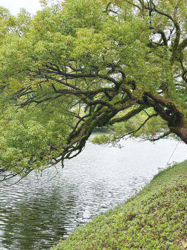 【潮州人的後花園｜西湖半日漫遊指南】
