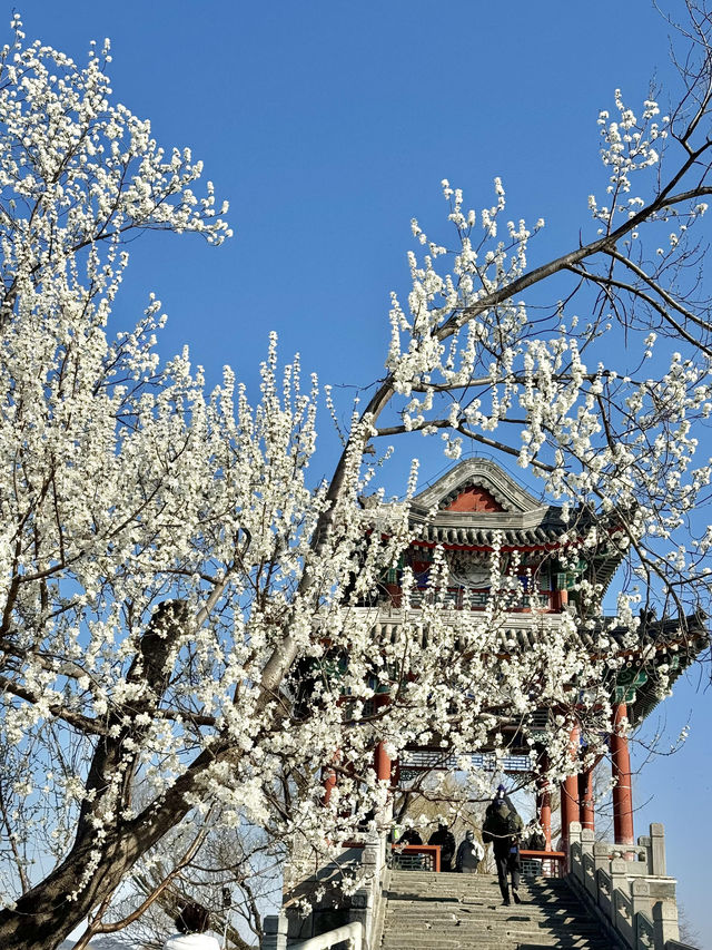 頤和園「畫中遊」拍照路線