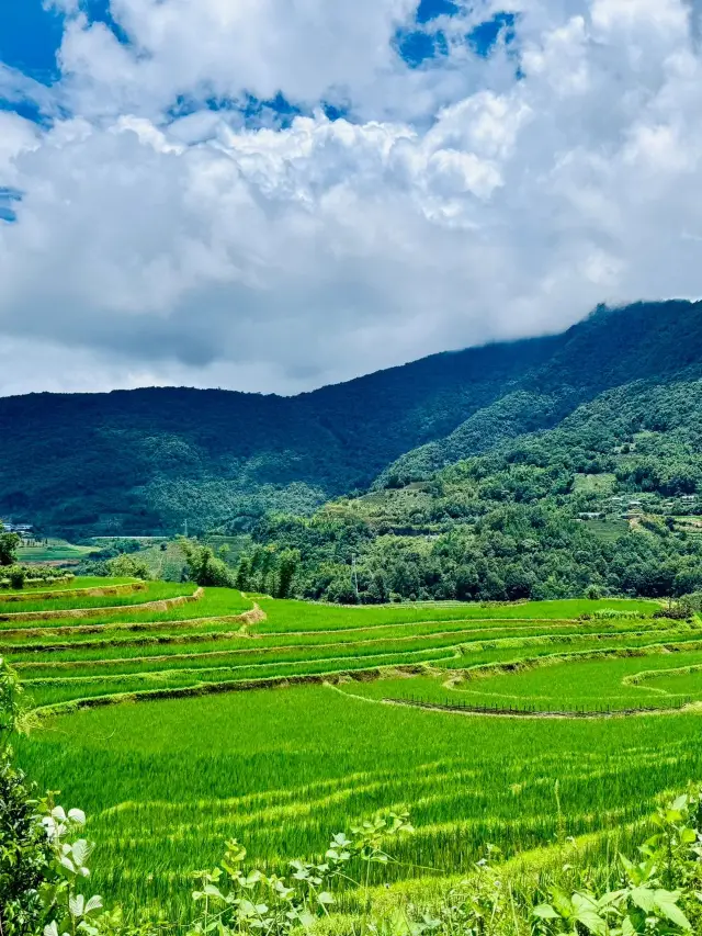 Spring Outing in Yuxi and Other Areas: Niche Scenic Spots Are Stunning, Let's Go!