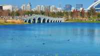 春天是逛公園的好時光～世博文化公園