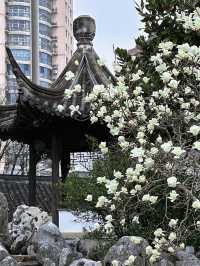600年明朝重臣私家府邸，竟然藏在南京鬧市區